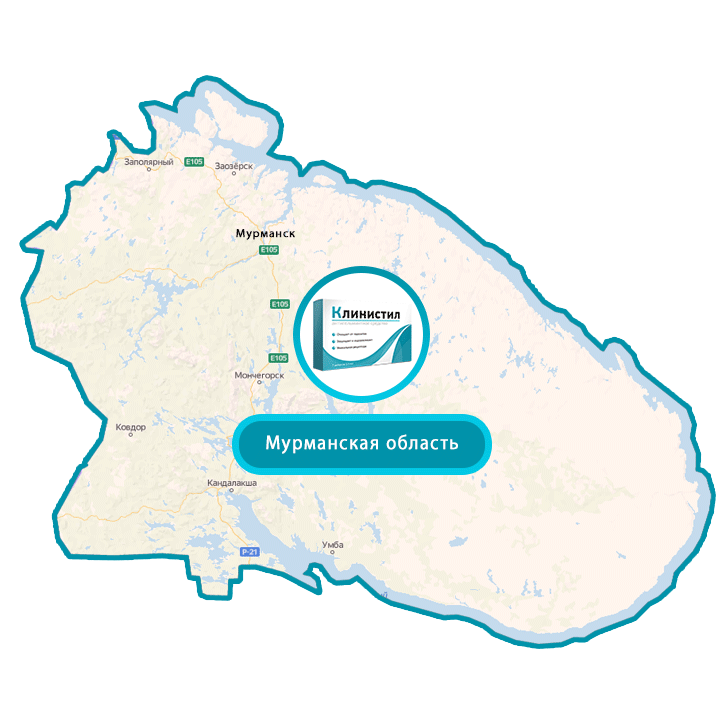 Купить Клинистил в Мурманске и Мурманской области